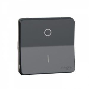Механізм перемикача двополюсний IP55, чорний, Mureva Styl Schneider Electric MUR35034
