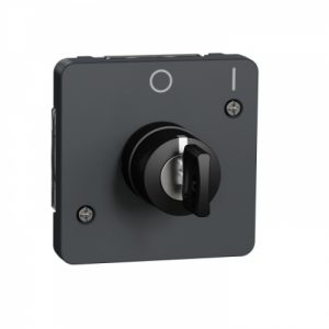 Механізм вимикача з ключем на 2 положення IP55, чорний, Mureva Styl Schneider Electric MUR35062
