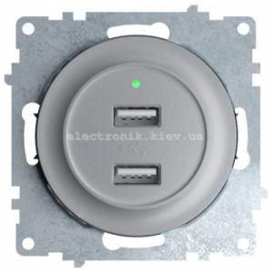 USB-розетка подвійна з підсвічуванням OneKeyElectro, сріблястий