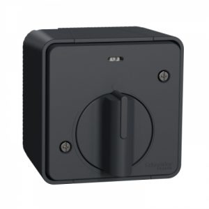 Вимикач з таймером IP55, для поверхневого монтажу, чорний, Mureva Styl Schneider Electric MUR35067