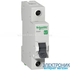 Автоматичний вимикач Schneider-Electric Easy9 1P 6A C