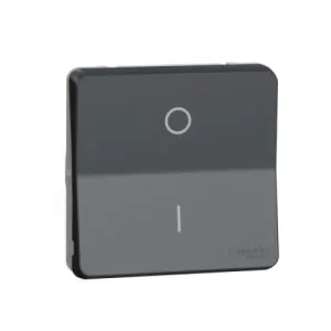 Механізм перемикача двополюсний IP55, чорний, Mureva Styl Schneider Electric MUR35034