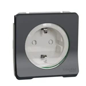 Механізм розетки із заземленнямм та шторками IP55, чорний Mureva Styl Schneider Electric MUR36134