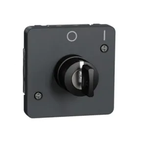 Механізм вимикача з ключем на 2 положення IP55, чорний, Mureva Styl Schneider Electric MUR35062