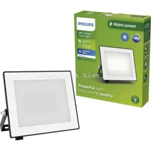 Philips LED Lois Світлодіодний зовнішній прожектор 30 Вт. Холодний білий