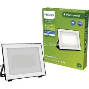 Philips LED Lois Світлодіодний зовнішній прожектор 50 Вт. теплий білий