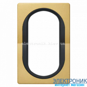 Рамка 1-на для 2-ної розетки Aling-Conel EON, золото-чорний