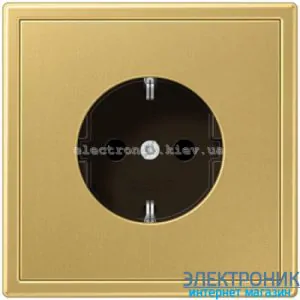 Розетка із заземленням JUNG LS990 класична латунь