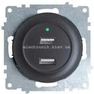 USB-розетка подвійна з підсвічуванням OneKeyElectro, чорна