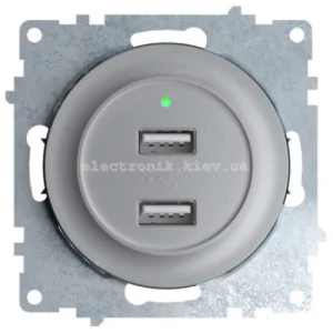 USB-розетка подвійна з підсвічуванням OneKeyElectro, сріблястий