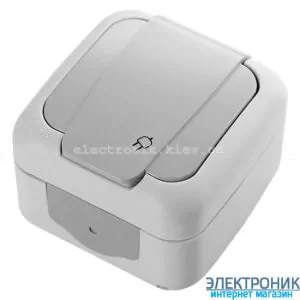 VIKO PALMIYE СІРИЙ Розетка із заземленнямм