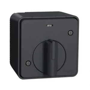 Вимикач з таймером IP55, для поверхневого монтажу, чорний, Mureva Styl Schneider Electric MUR35067